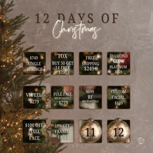 Load image into Gallery viewer, 10th Day of Christmas