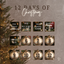 Load image into Gallery viewer, 5th Day of Christmas