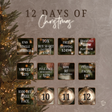 Load image into Gallery viewer, 9th Day of Christmas