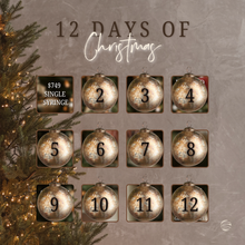 Load image into Gallery viewer, 1st Day of Christmas