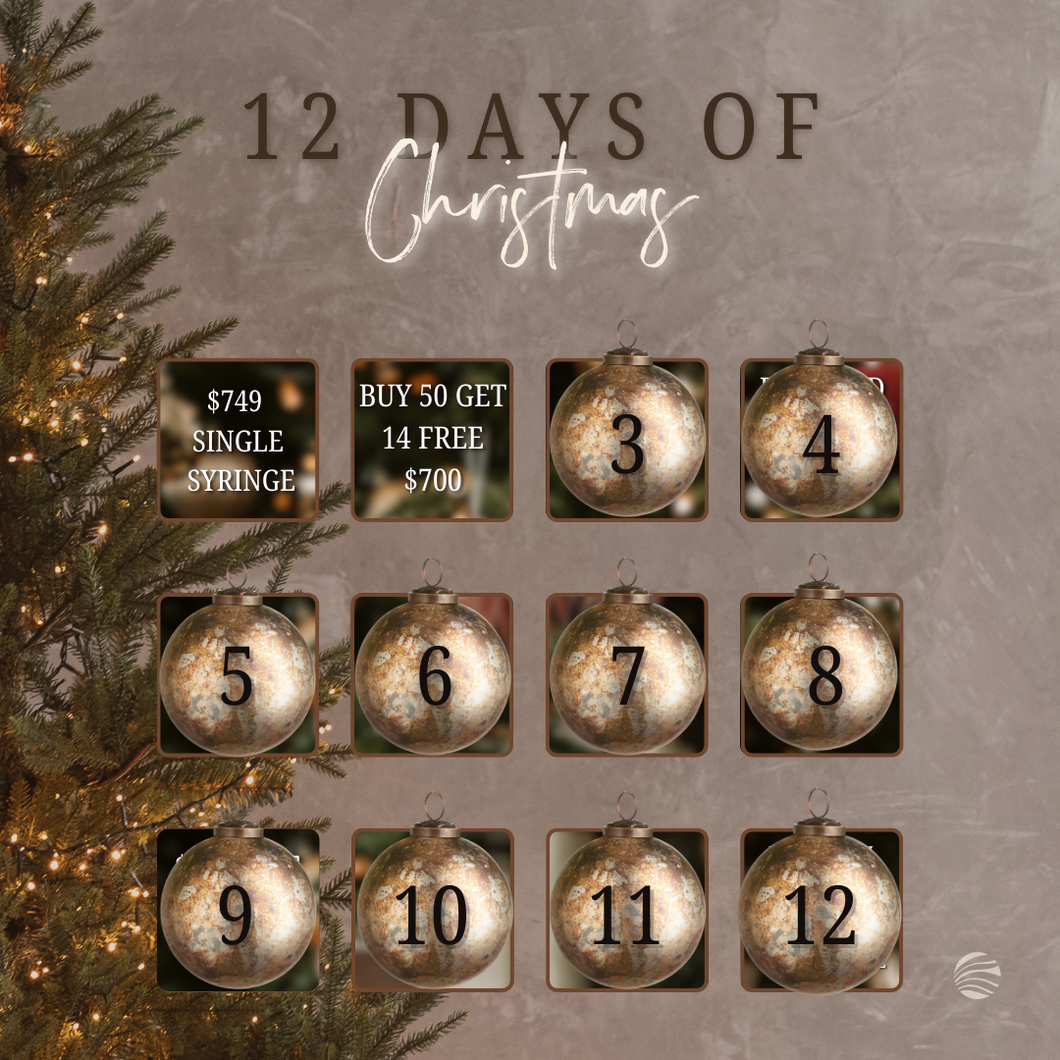 2nd Day of Christmas