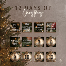 Load image into Gallery viewer, 6th Day of Christmas
